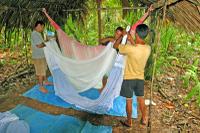 HAMMOCKS